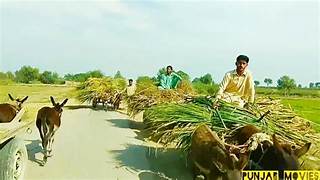 Punjab Village Family Tour